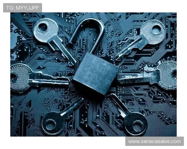 正规凯发网址官方地址入口,保障您的账户安全与资金安全的最佳选择 正规凯发网址官方地址入口,保障您的账户安全与资金安全的最佳选择