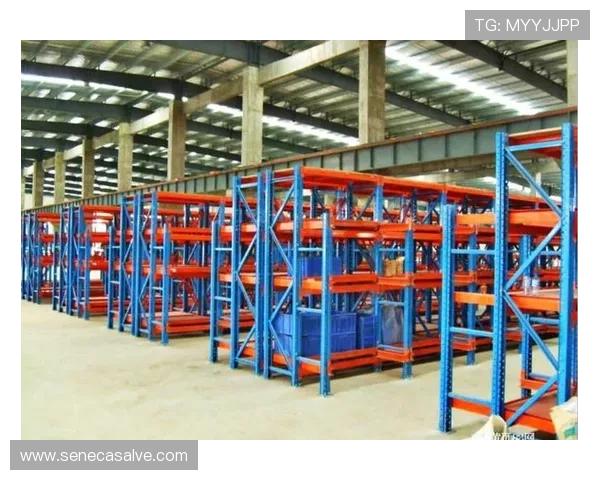 凯发的网址官方最新更新，确保用户访问安全稳定的登录入口