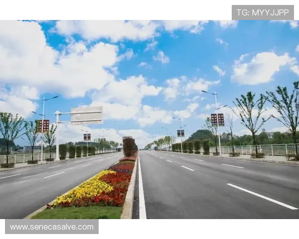 凯发电游娱乐官网手机版下载指南，轻松下载安装确保游戏畅玩无障碍